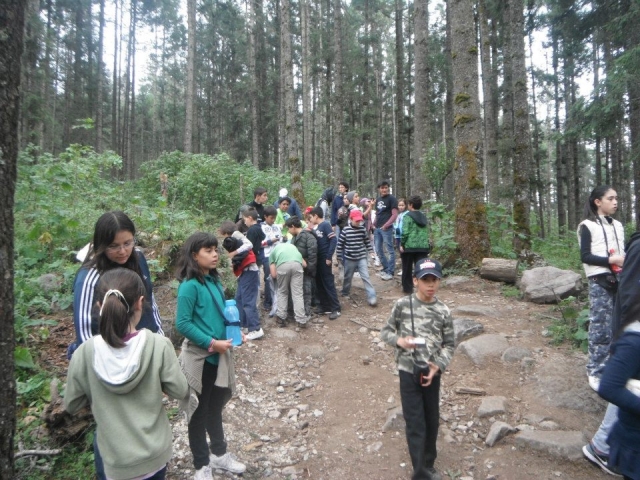 Grupos grandes con guia